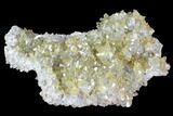 Plate Of Gemmy, Chisel Tipped Barite Crystals - Mexico #84425-2